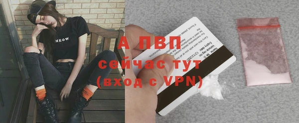 стаф Дмитровск