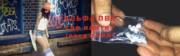 стаф Дмитров
