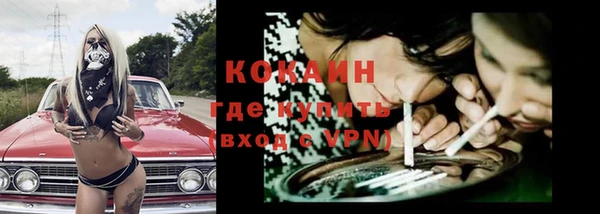 стаф Дмитров