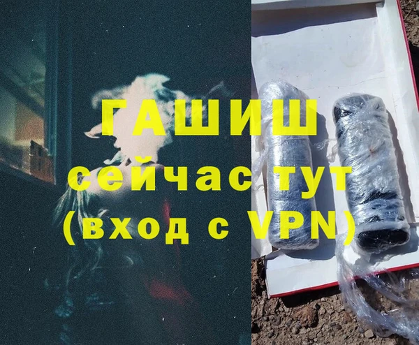 стаф Дмитров