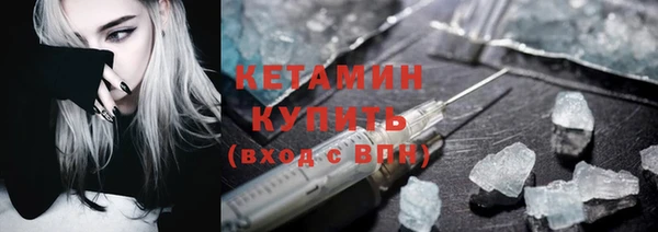 стаф Дмитровск