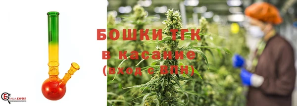 стаф Дмитров