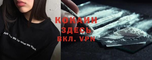 стаф Дмитров