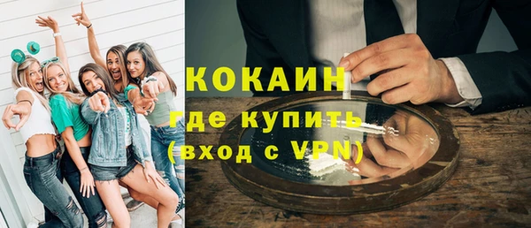 стаф Дмитров