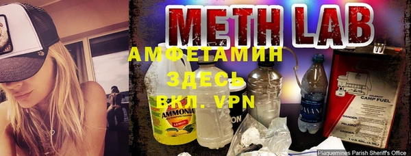 стаф Дмитровск