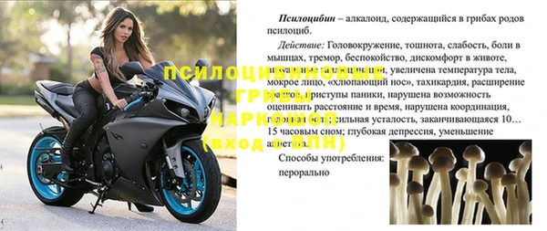 стаф Дмитров