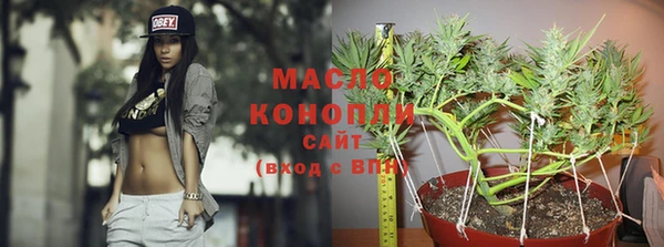 стаф Дмитров