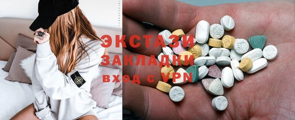 стаф Дмитров